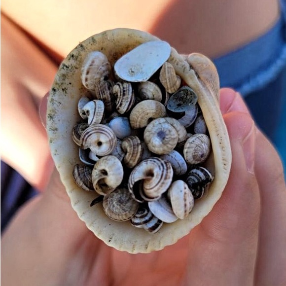 Meet your Posher, Katie - Picture 3 of 12